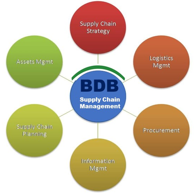 Behre Dolbear Asia Ltd -- Supply Chain Management